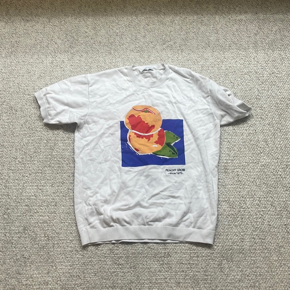 Zara TShirt